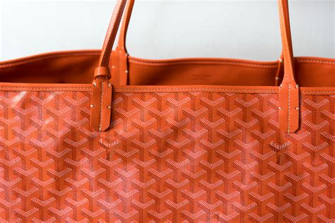 goyard name origin|Origin of the surname Goyard.